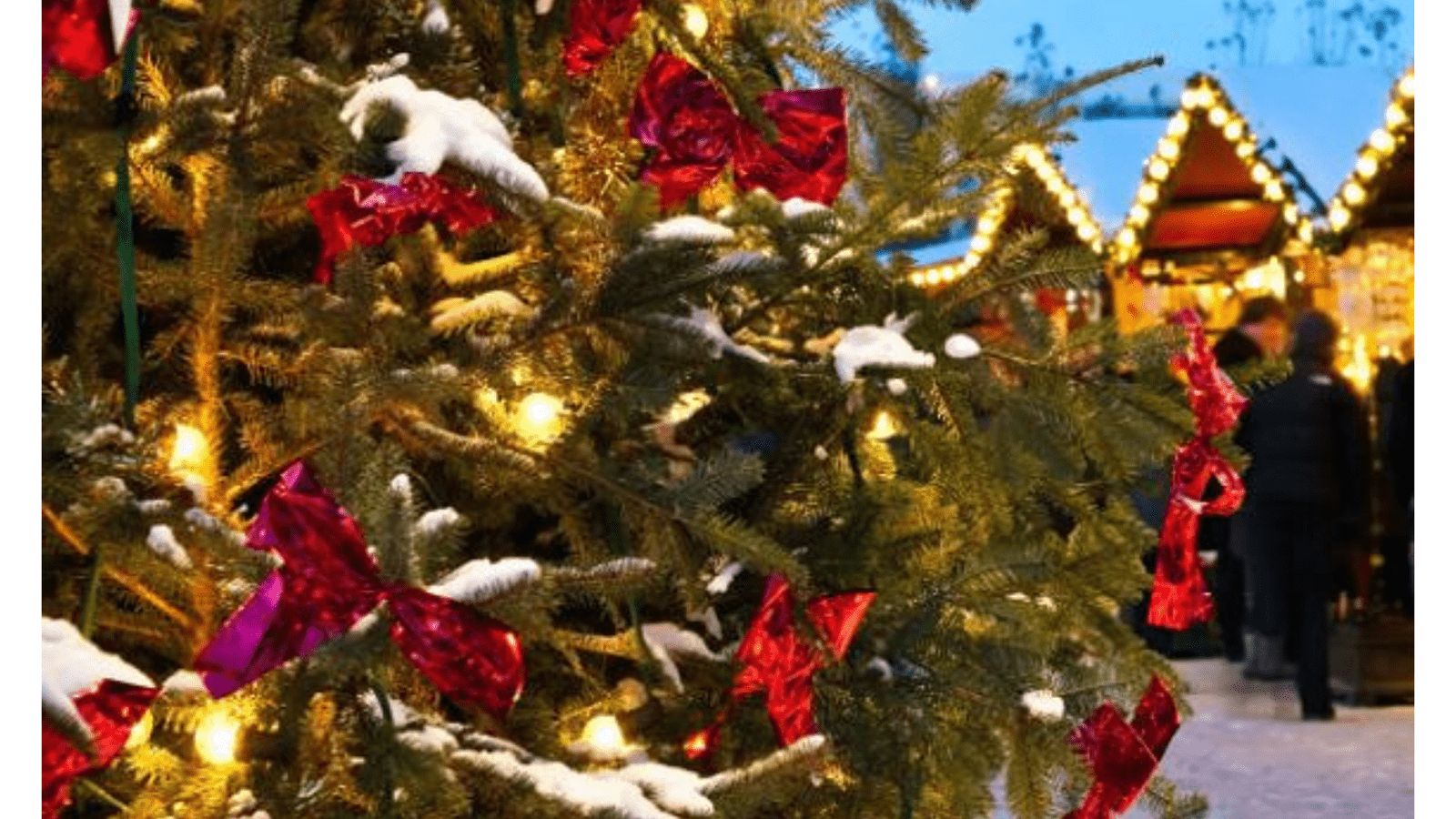 Week-end blanc de Noël