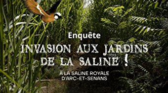 Jeu de piste - Invasion aux jardins de la Saline ! - ARC-ET-SENANS