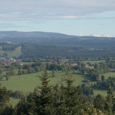 Point de vue Le Faux Verger