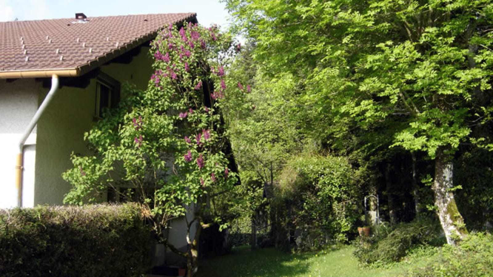 Appartement - Nelly et Gérard Jacquot