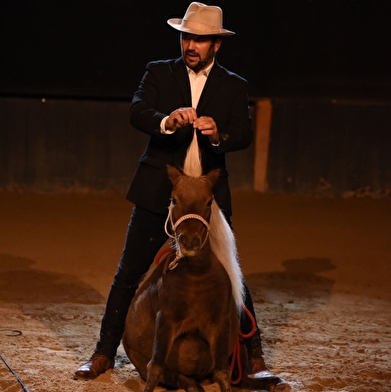 Spectacle équestre - Les Comtois en folie
