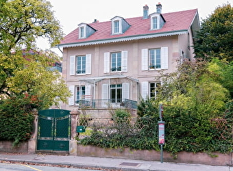 La Mezzanine du Magnolia - MONTBELIARD