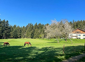 La Ferme des Brosses - PLAIMBOIS-DU-MIROIR