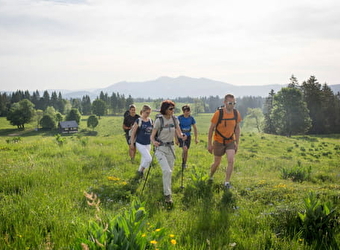 Trek sur les crêtes du Jura - Les Fourgs
