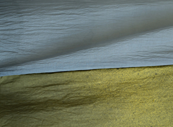 Nuances végétales - FLAGEY