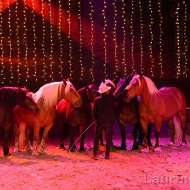 Spectacle équestre - Les Comtois en folie