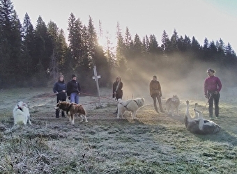 Les Équipages Adam's - CHAUX-NEUVE