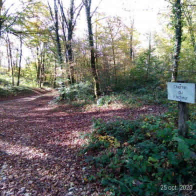 'Escape trail' au Coutelot