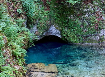 Source Bleue - MONTPERREUX