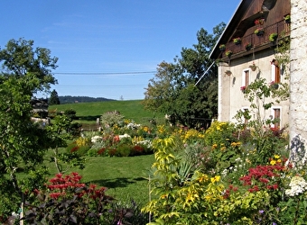 La Ferme des Louisots - FOURNET-BLANCHEROCHE