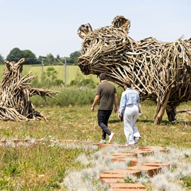 Festival des jardins “Ombre et fraicheur”