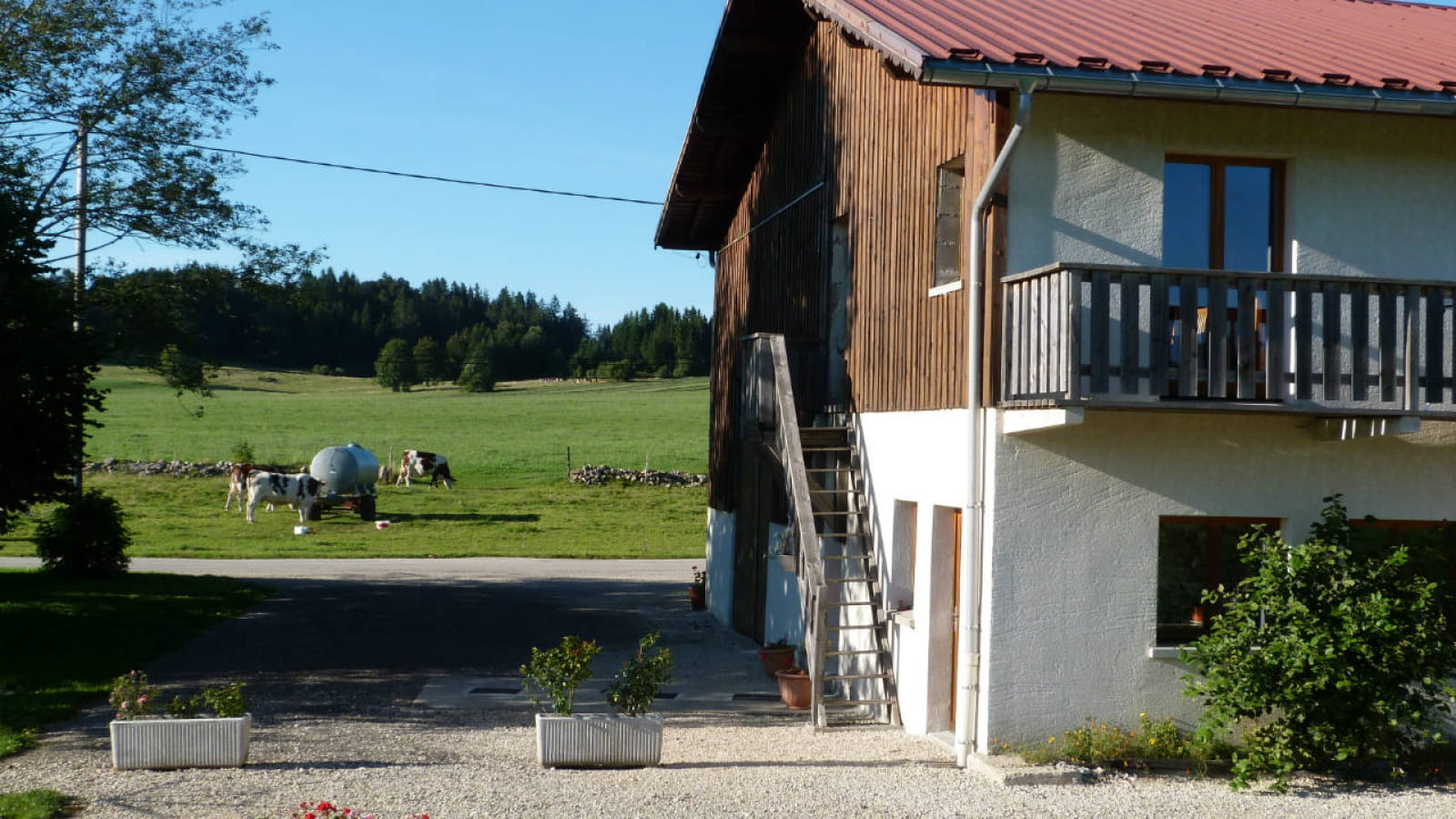 Appartement - Narcisse