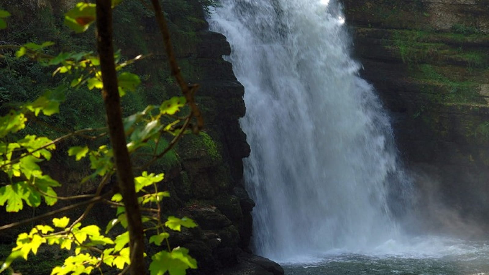 Les bassins et le Saut du Doubs