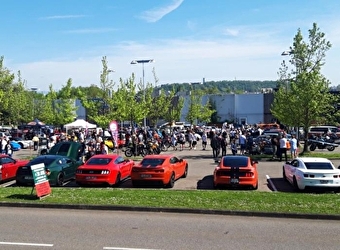 Expo de véhicules de collections, de prestiges - SOCHAUX