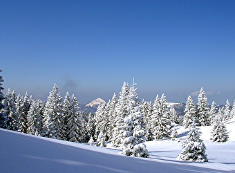 Site Nordique du Haut Saugeais Blanc - PAYS-DE-MONTBENOIT
