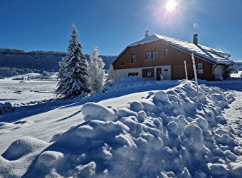 Appartement 1 - Les Landrys  - CHAPELLE-DES-BOIS