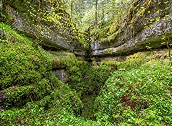 Voyage Fankarstique au cœur du Bois de Billin - FRASNE
