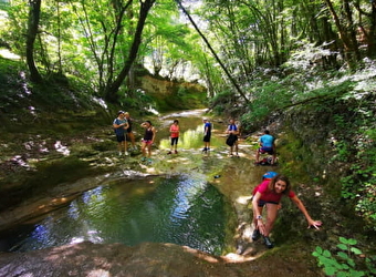Trail Aventures - LES PREMIERS SAPINS