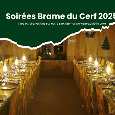 Le Brame du Cerf