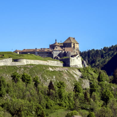 Château de Joux