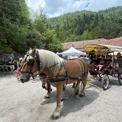 Marché des savoir-faire locaux