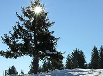 Site Nordique de Gilley - GILLEY