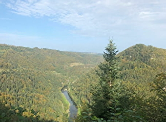 Belvédère les Fougères - GOUMOIS