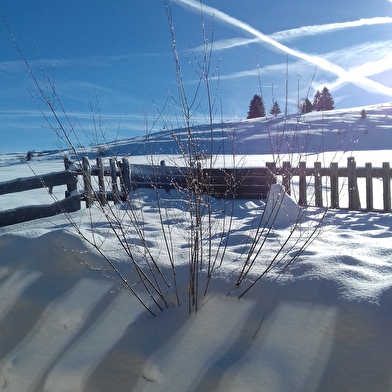 Gîte de la Randonnée