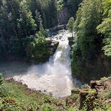 Les bassins et le Saut du Doubs