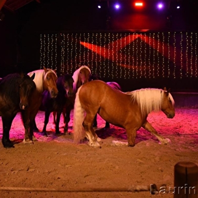Spectacle équestre - Les Comtois en folie