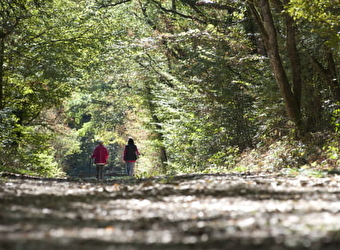 Châtillon-Le-Duc - CHATILLON-LE-DUC