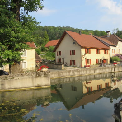 La Maison des Poissons 2