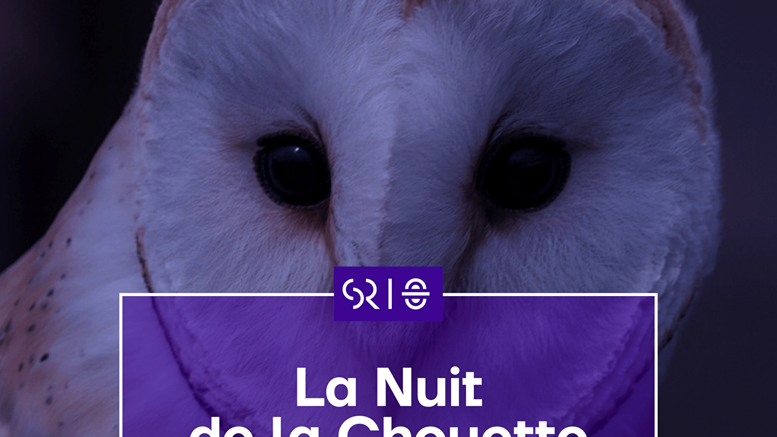[COMPLET] La Nuit de la Chouette