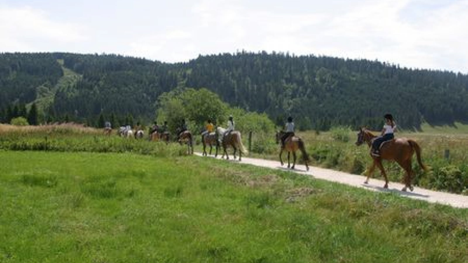Les écuries du Mont d'Or et des lacs