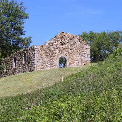 Château médiéval de Montfaucon