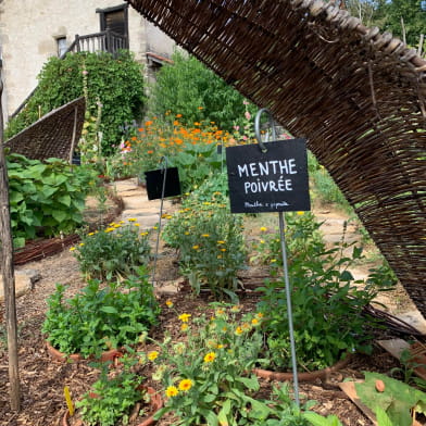 Festin de plantes - 3ème édition