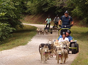Les Attelages de la Roche Percée - Eté - PIERREFONTAINE-LES-VARANS