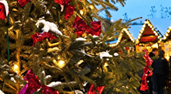 Week-end blanc de Noël - BAUME-LES-DAMES