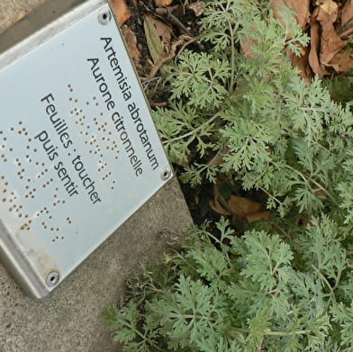 Jardin des Sens - Promenade de l'Helvétie