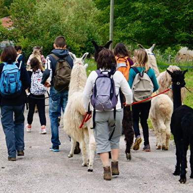 Lama Loisir Mamirolle