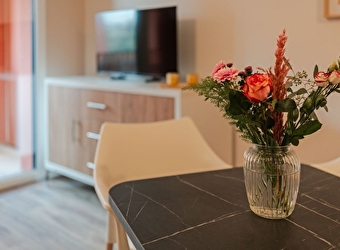 Résidence Meublés Génius - BESANCON