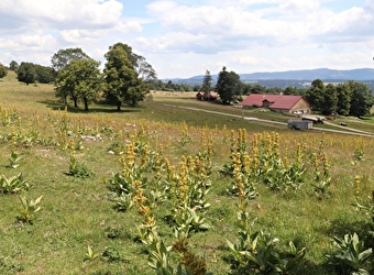 Point de vue du Grand Taureau - PONTARLIER
