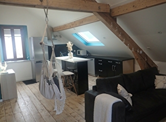 Superbe Loft avec grande terrasse - MAICHE