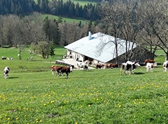 Gîte Les Pâturages - JOUGNE
