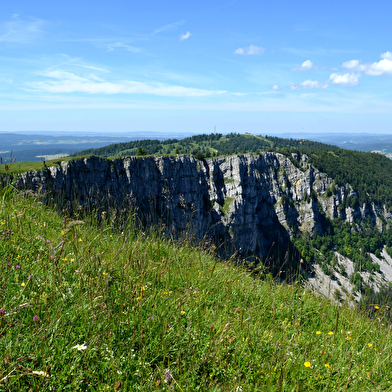 Randonnée - Les alpages et les pré-bois de Super Longevilles