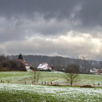 Dannemarie-Sur-Crète