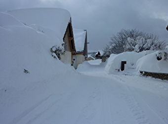 Appartement - Gite Au Bon Coin - SAINT-ANTOINE