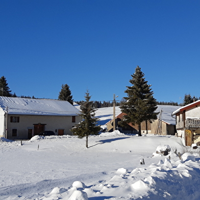 Appartement - Michèle Poux