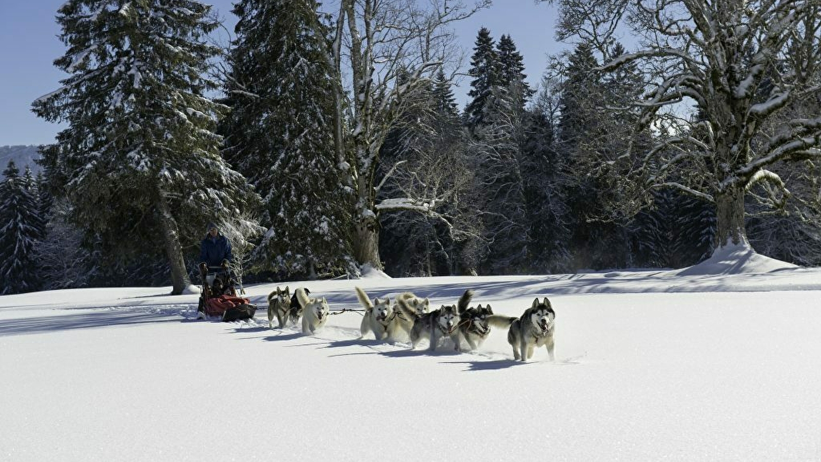 Les Nordiques de la Ferme sur la Roche