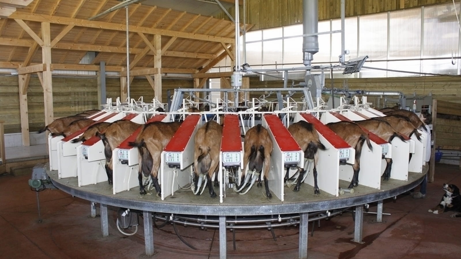 Ferme du Rondeau